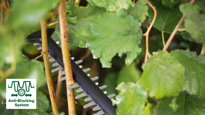 BOSCH EasyHedgeCut Akku-Heckenschere